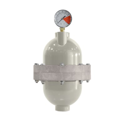 Blacoh A401TP-1 Sentry Series Pulsation Dampener, 5 gallon