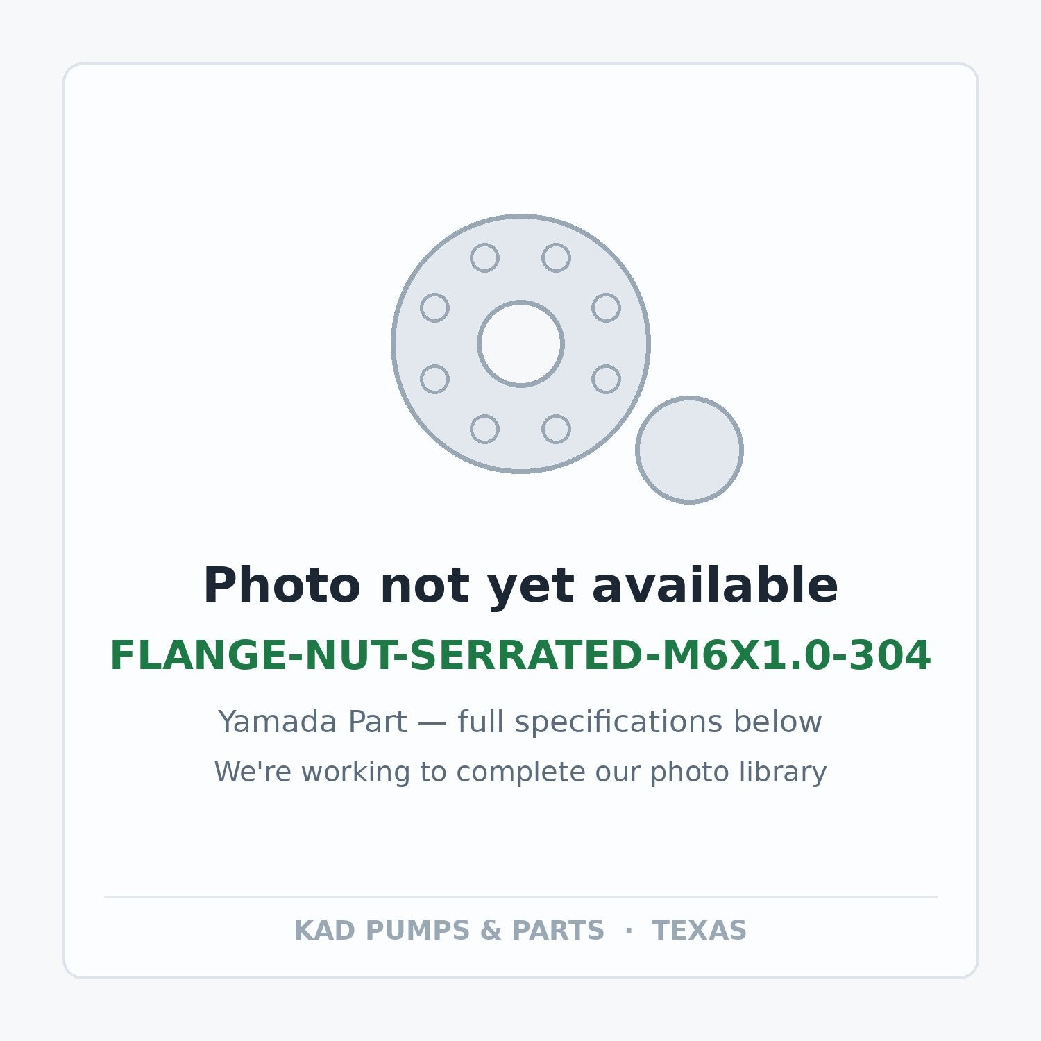 KAD placeholder — FLANGE-NUT-SERRATED-M6X1.0-304