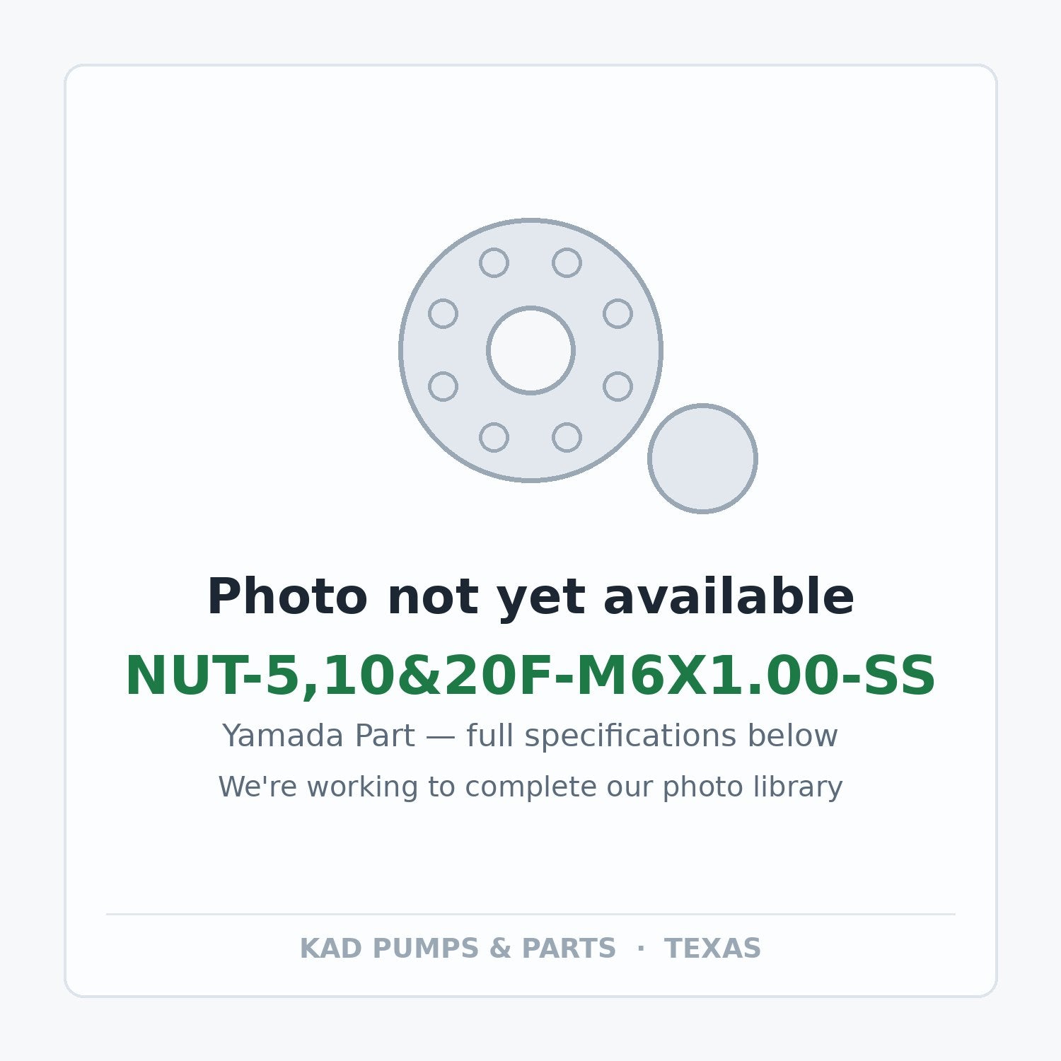 KAD placeholder — NUT-5,10&20F-M6X1.00-SS