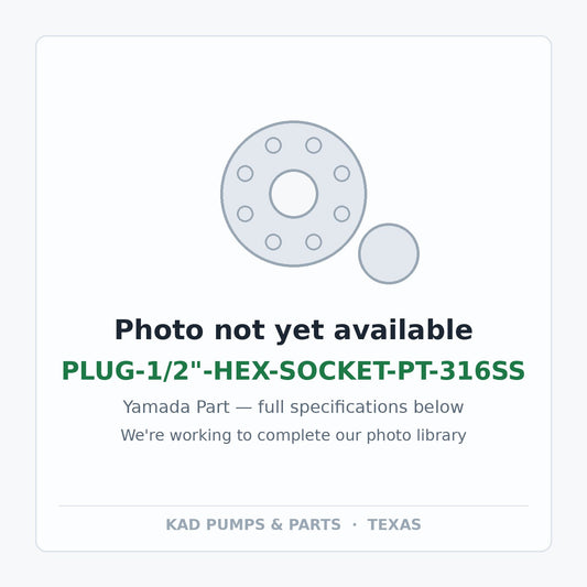 KAD placeholder — PLUG-1/2"-HEX-SOCKET-PT-316SS