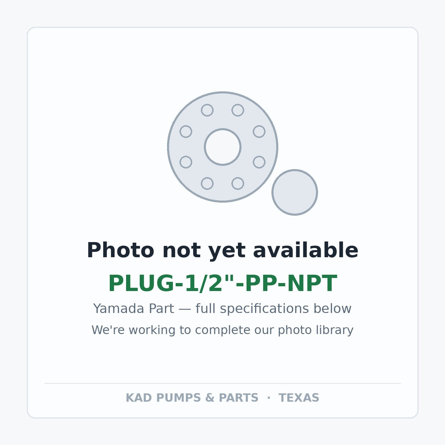 KAD placeholder — PLUG-1/2"-PP-NPT