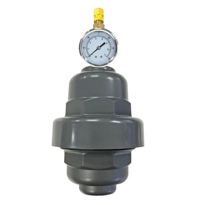 Blacoh RC-10PVC-V50 Sentry Revolution Model Pulsation Dampener, 10 cu in